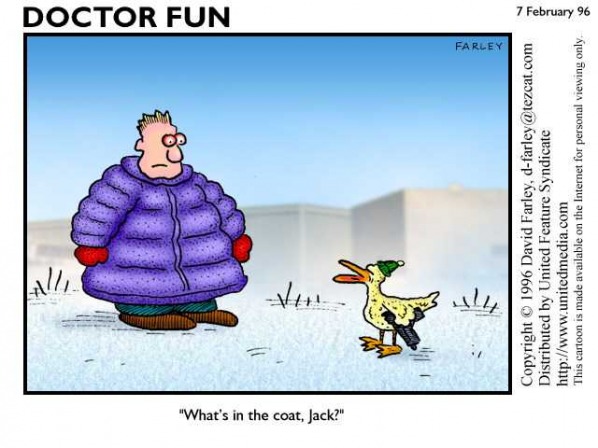 Duck comic