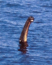Loch Ness Plesiosaur 