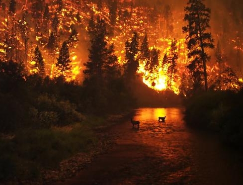 increasing wildfires
