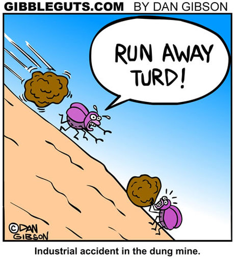 dung beetle comic