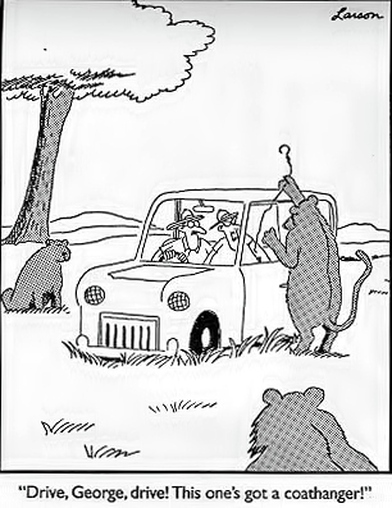 Safari comic