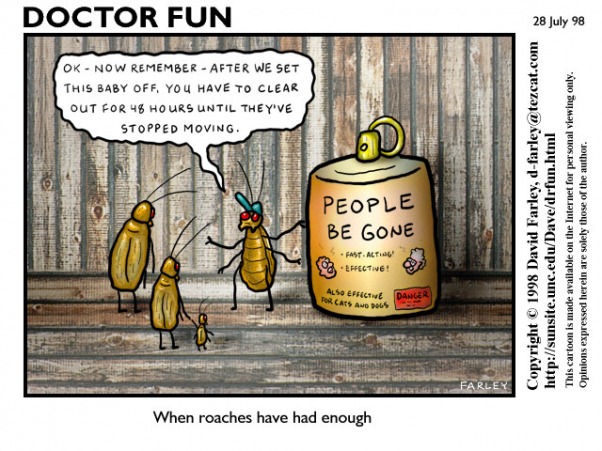 Doctor Fun comic