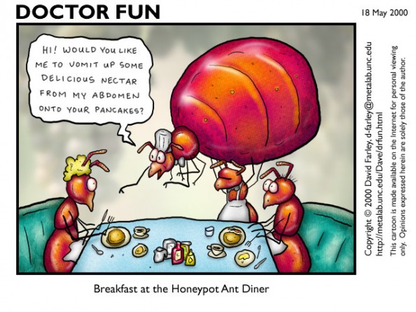 Ant comic by doctor Fun