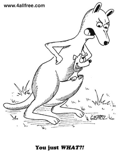 Kangaroo comic
