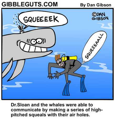 whale communication comic