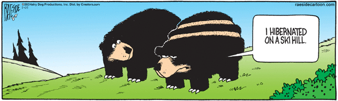 Bear comic