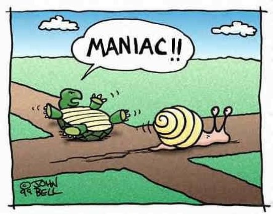 Turtle Comic