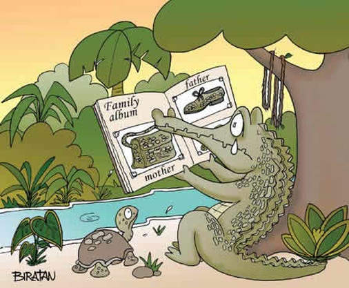 Alligator Comic