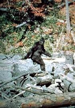 Bigfoot in 1967