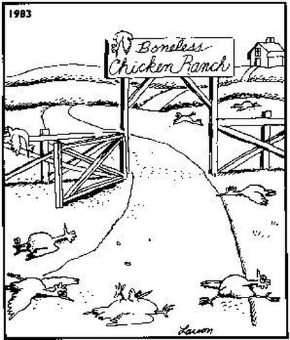 Boneless Chicken Ranch