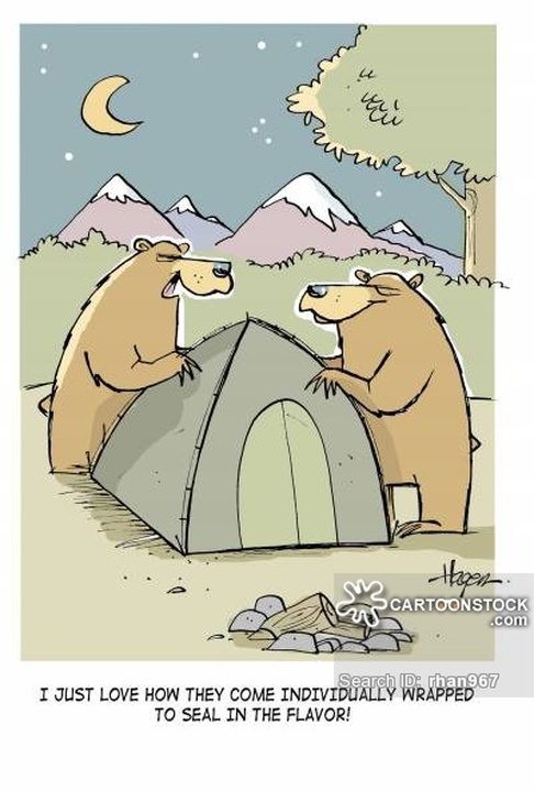 Bear Comic